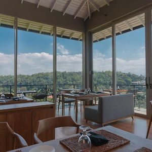 Rivora Heights